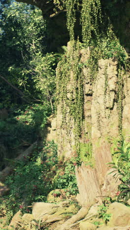 overgrown ruins in a lush jungle