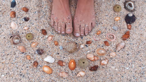 Woman-feet-on-the-sand-with-sea-shells