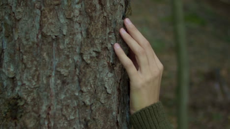 la mano de una mujer tocando la corteza de un árbol