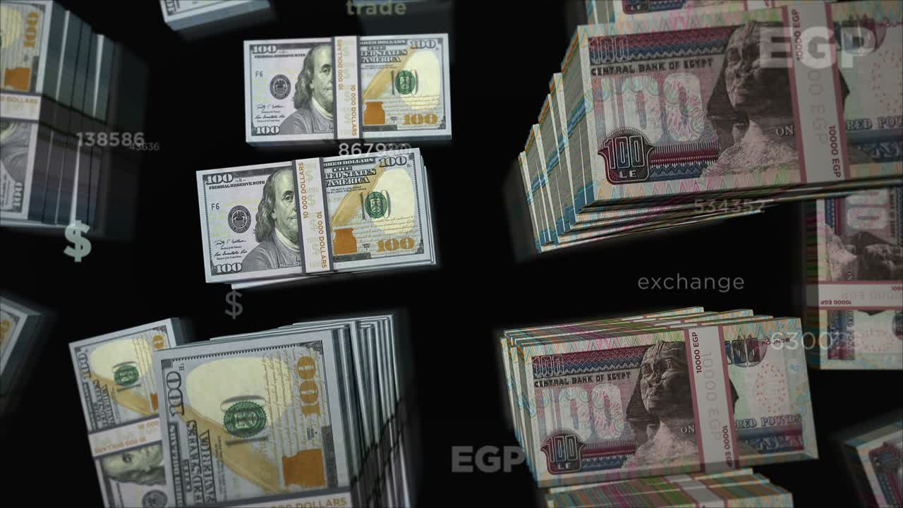 미국 달러와 이집트 파운드 화폐 교환 루프 애니메이션