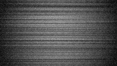 static noise on tv screen, white noise, black and white