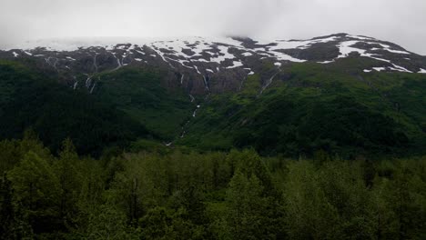 4k aerial drone footage above a forest with a snowcapped mountain in the background with camera zooming into the scene