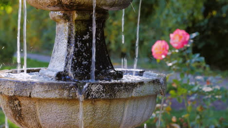 Antigua-Fuente-En-El-Jardín-Con-Rosas