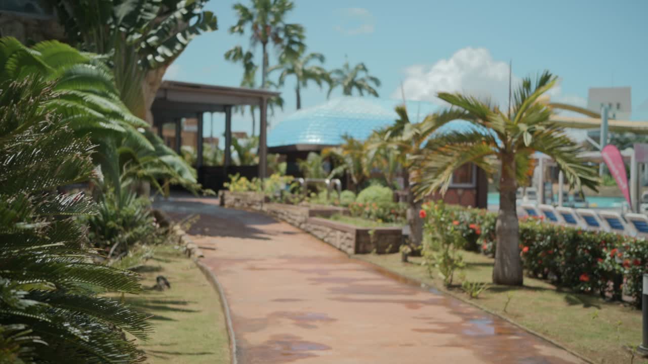 아름다운 정원 을 가로지르는 산책로 를 따라  ⁇ 는 사람, 느린 움직임