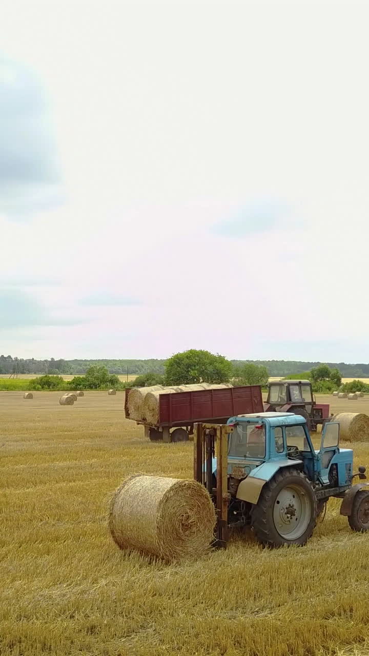 Tractor Loading Hay Bales. Tractor loading hay bales on truck trailer during agricultural works