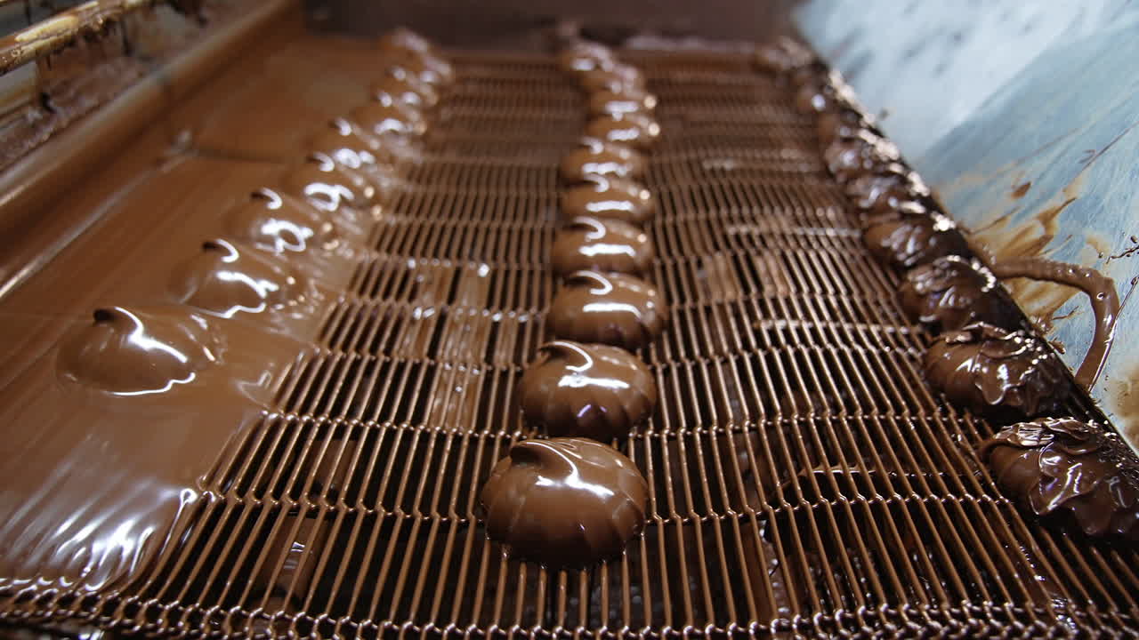Marshmallows move from chocolate coating under the air flow. Conveyor grid moving slowly full of sweet candies. Close up. Blurred background.