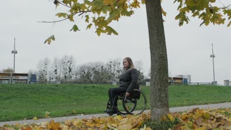 person in a wheelchair walking outside