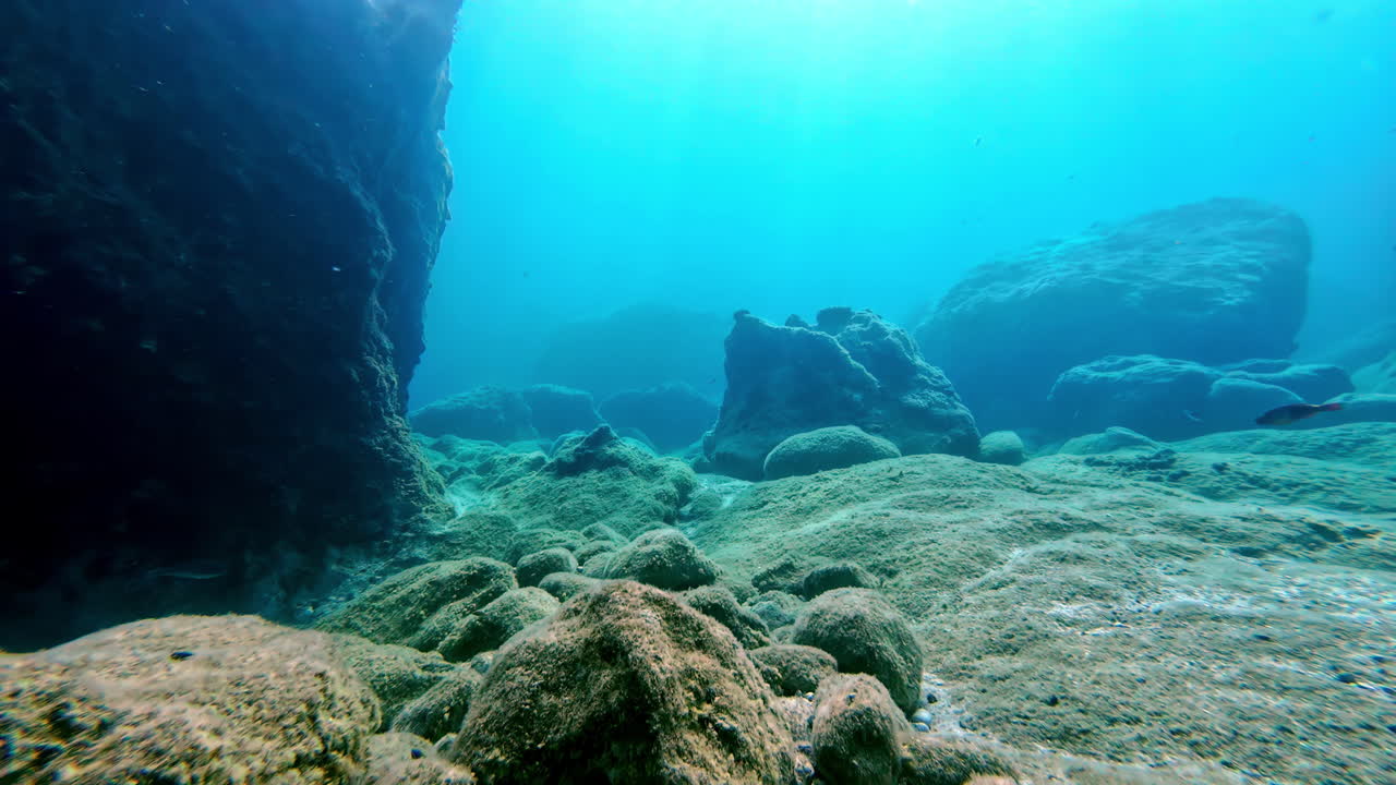 corales en el suelo del océano, entre grandes rocas y con la luz del sol explorando la vida silvestre, copiar el espacio en cámara lenta