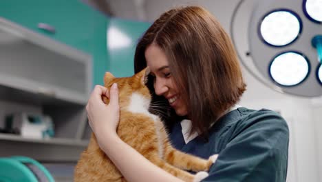 Happy-brunette-veterinarian-girl-in-a-blue-uniform-holds-an-orange-white-cat-in-her-arms-and-strokes-it-during-an-examination-in-a-veterinary-clinic-for-pets