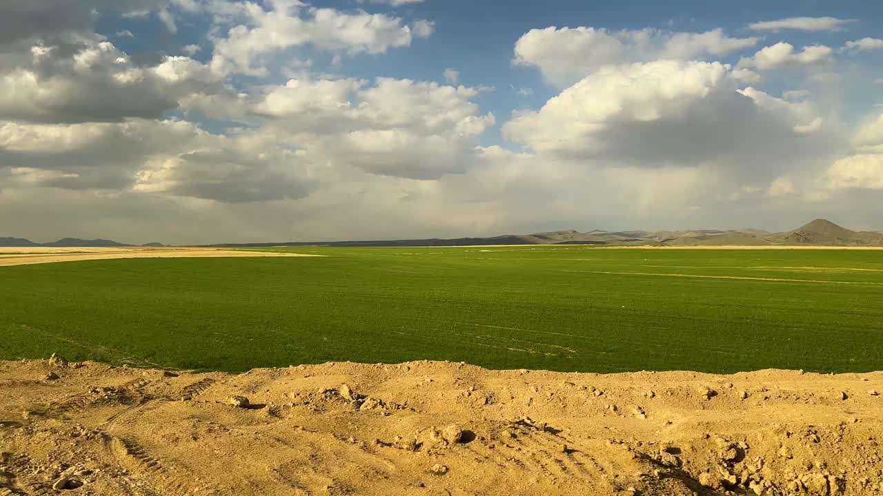 Paesaggio montano con luce estiva e orizzonte meraviglioso nella campagna iraniana, campi verdi, agricoltura e terreni coltivabili, vista aerea della stagione del raccolto, produzione industriale di alimenti, cereali e mangimi per il bestiame