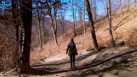 handheld shot following a woman walking along the forest path