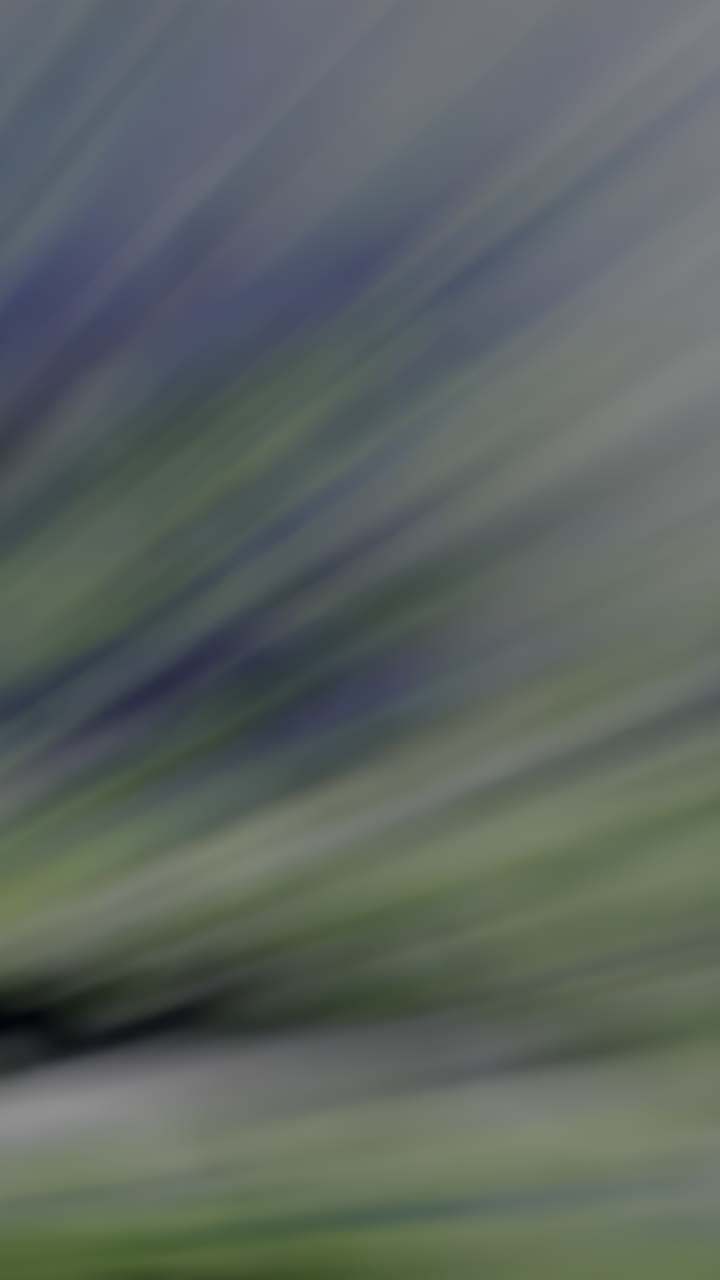 추상적인 대각선