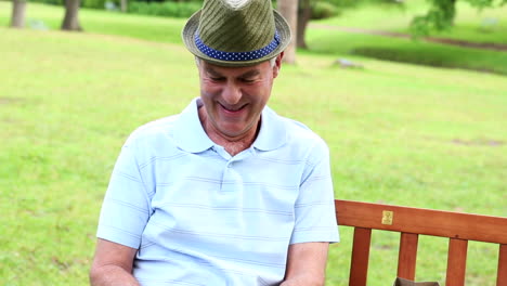 retired man texting on the phone on a park bench