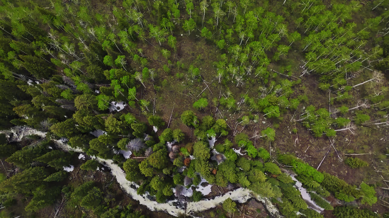 コロラド州グランド・メサのマウンテン・クリークのドローン・フライオーバー