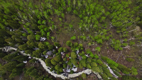 drone sobrevolando el arroyo de la montaña en grand mesa, colorado