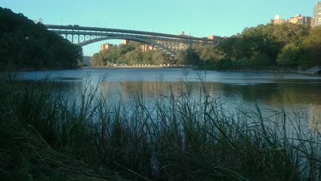 Toma-Estacionaria-De-Hierba-Que-Sopla-Cerca-De-Spuyten-Duyvil-Y-El-Puente-Henry-Hudson-En-La-Punta-De-Manhattan,-Ciudad-De-Nueva-York