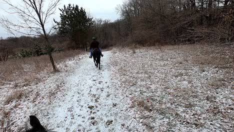 winter trail riding, maybury state park, michigan, usa