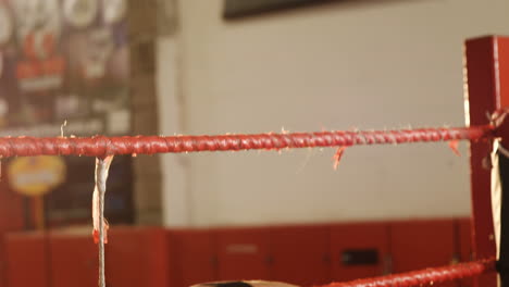 tired female boxer getting out of ring