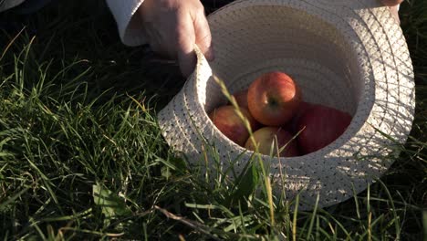 manos sacando manzana roja madura de un sombrero de paja plano medio