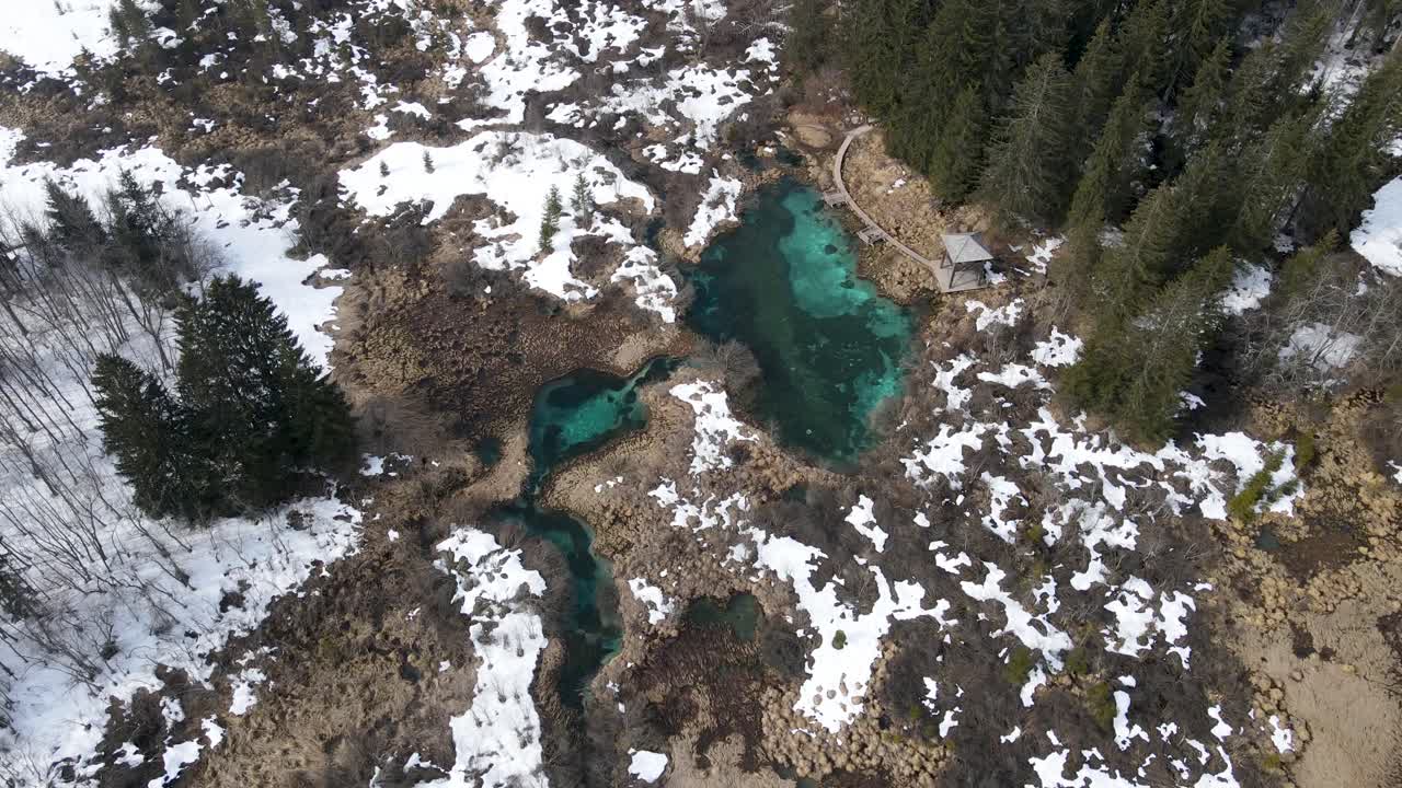 Lago turchese Riserva Naturale di Zelenci, Slovenia