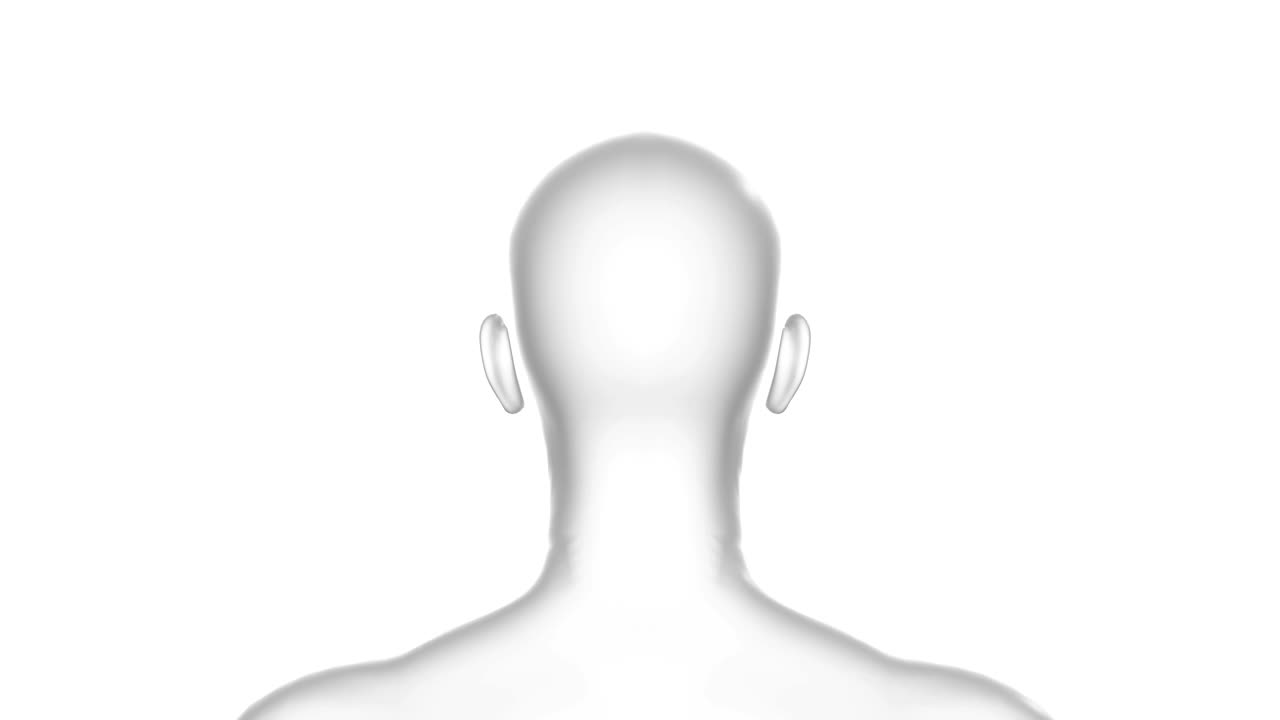 남자, 남성, 인간 머리, 3d 모델, 완벽한 루프