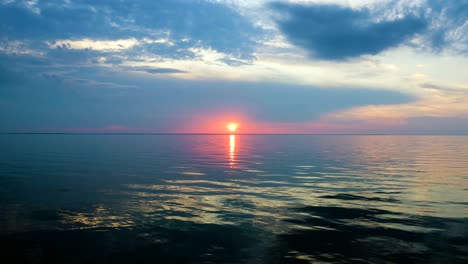 el vuelo sobre el agua en un pintoresco fondo de puesta de sol