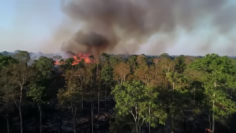 dramatic flames consume lush forest landscape, thick smoke billowing into the sky as environmental devastation unfolds in the heart of nature