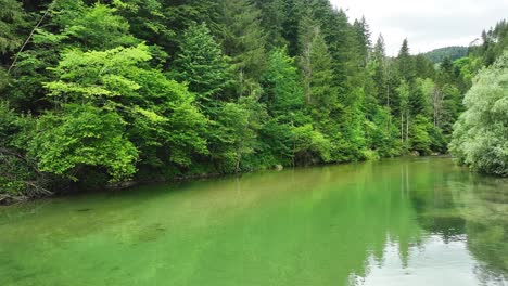 Panorámica-Del-Río-Y-El-Bosque-Del-Valle-De-Logar,-Agua-Turquesa-En-Eslovenia,-Paisaje-Relajante,-Destino-De-Viaje,-Parque-Natural