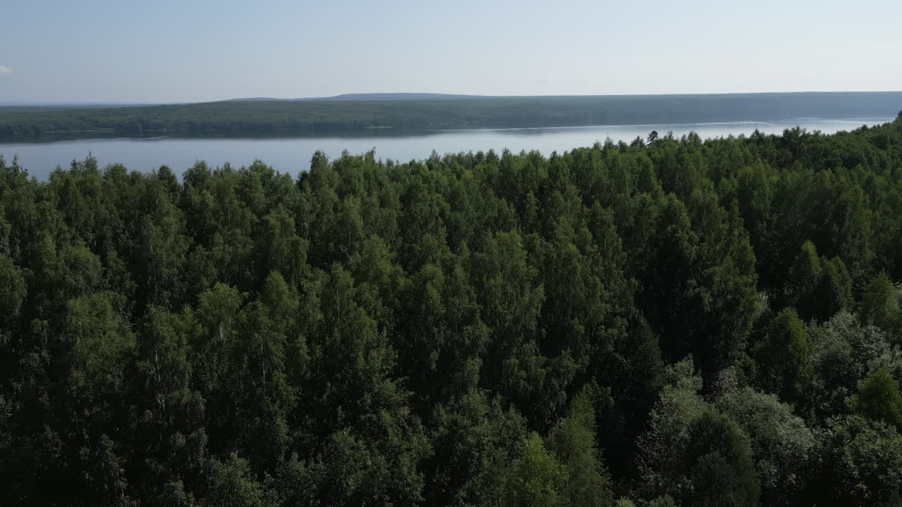 숲 과 호수 의 공중 사진