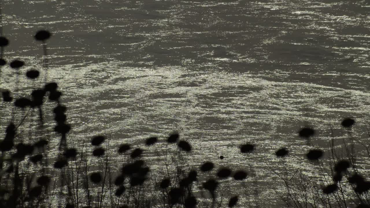 Behind the storms and floods