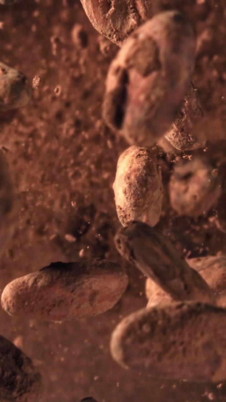 Raw Cocoa Beans Falling with Fine Powder in Slow Motion