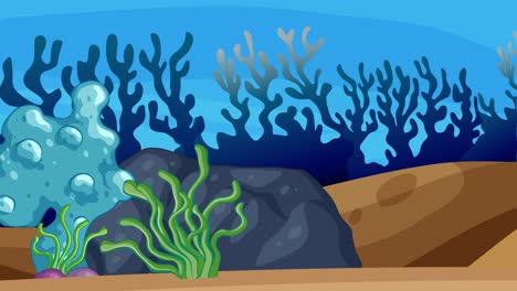 animated growth of a vibrant coral reef ecosystem.