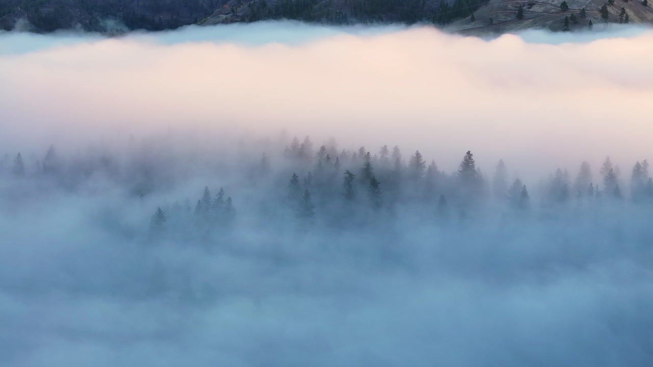 Mist moving above pine trees across mountain valley covered in fog Montana, soothing peaceful background