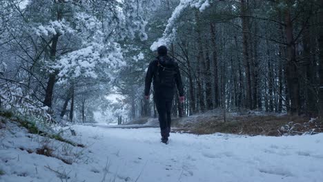 man hiking in snowy forest