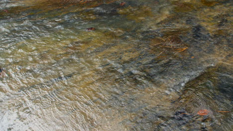 pan left close up of a creek flowing over a slick rock surface