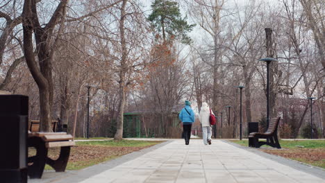 lower view of people strolling through quiet park beneath tall trees with dry leaves during winter season, surrounded by empty benches, leafless branches, and calm natural landscape
