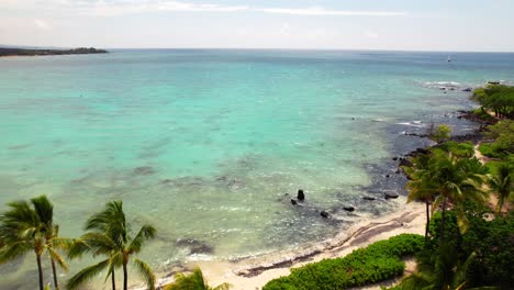 a paradisical tropical beach with palm trees then a turquoise ocean with amazingly clear water - aerial flyover