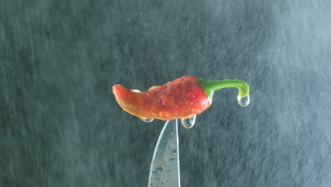 chili pepper pout skewered on a knife with drops of sprayed water, black background