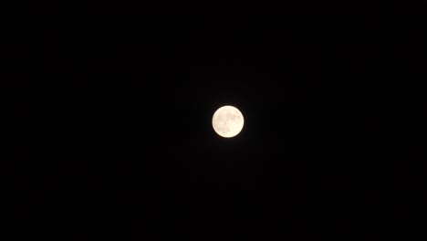 stunning view of full white moon rising in black sky background at night - low angle shot