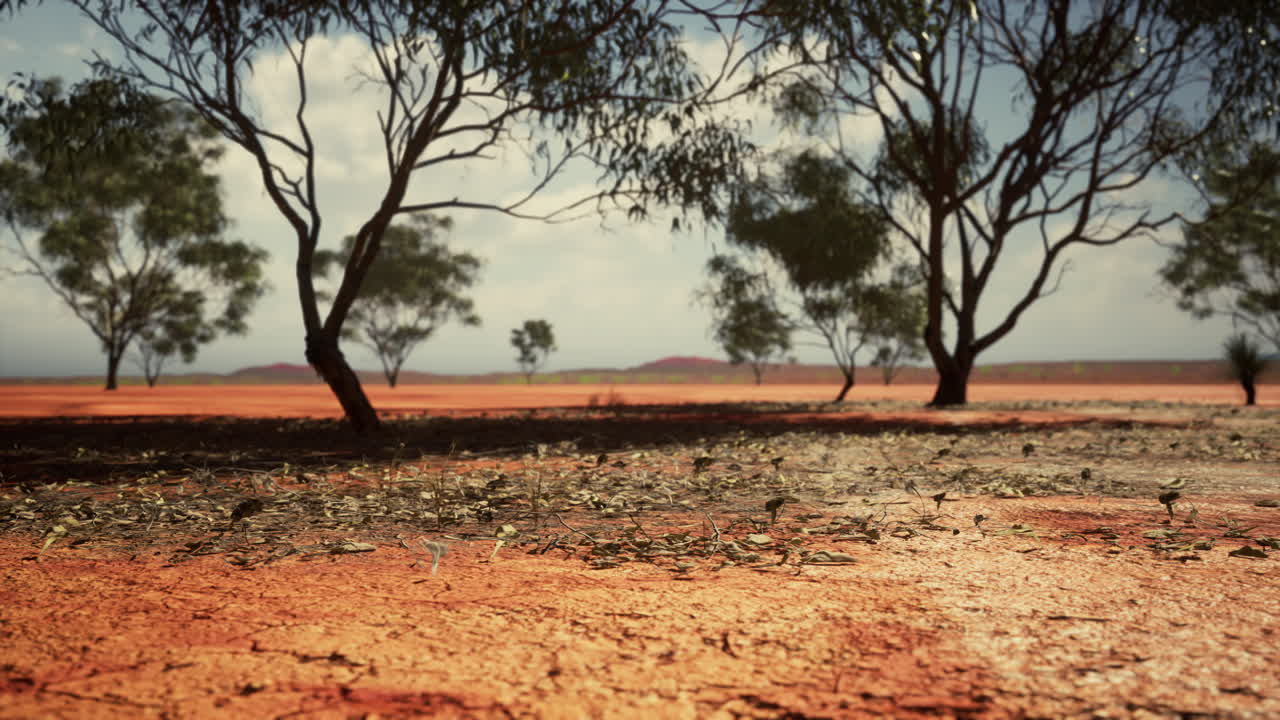 뜨거운  ⁇ 빛 아래에 나쁜 균열 된 땅