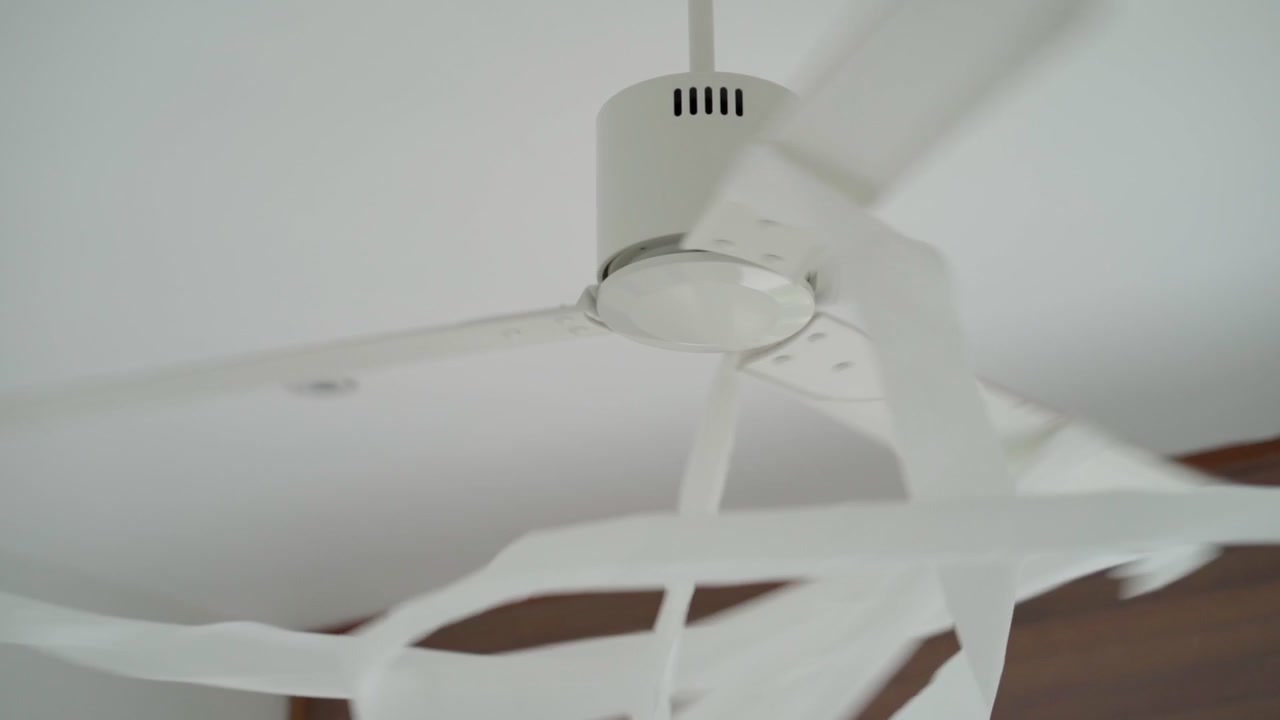 Rotoli di carta igienica che girano su un ventilatore a soffitto