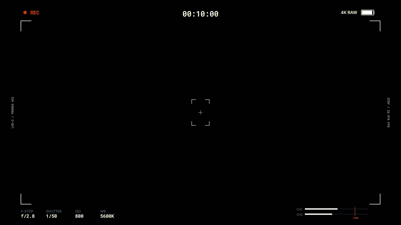 Digital Camera Viewfinder Overlay with Recording Interface