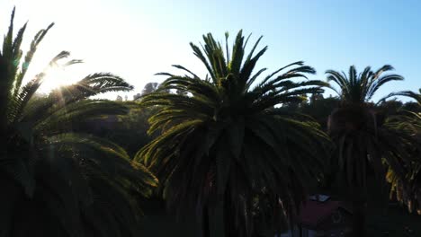 Tiro-De-Dron-Panorámico-A-La-Izquierda-180-Grados-Durante-La-Hora-Dorada-Del-Atardecer-En-Los-ángeles,-Parque-De-California-Que-Revela-área-De-Picnic,-Acera-Y-Vehículos-En-Estacionamiento