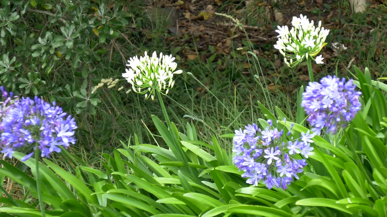 아름다운 결혼식 꽃이나 꽃다발의 샷