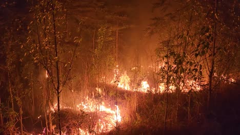 Prescribed-fire-burning-rings-to-contain-wildfire-spreading-through-forest,-aerial