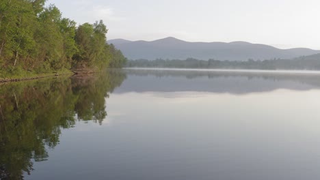 forestry along lake shoreline flat calm water with mountains in distance