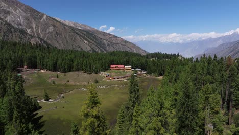 establishing drone shot reveals beautiful log cabins in green forest on mountain
