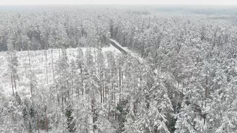 Magical-Christmas-woodland-covered-in-pure-white-snow,-aerial-view