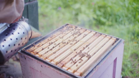 the beekeeper uses a fumigator and is preparing to take out frames full of honey