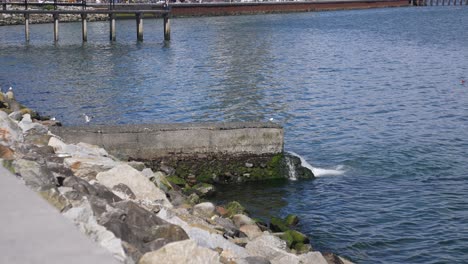 sewage water flowing into sea by promenade of coastal town, slow motion